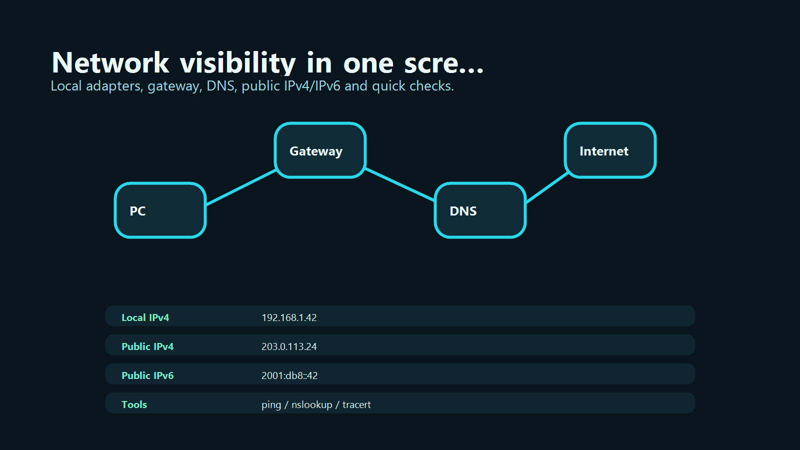 InfoNet Portable network visibility screen